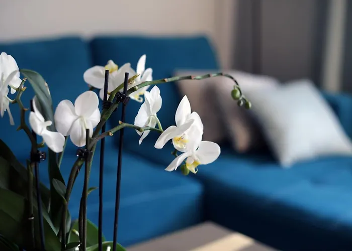 Apartment Turkus Szczecin